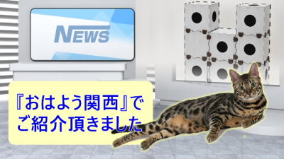 パッケージから猫の遊具へ！中小企業流の新ビジネス